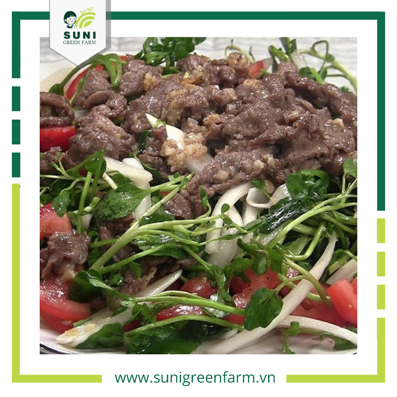 Rau xà lách xoong tươi ngon trong nước