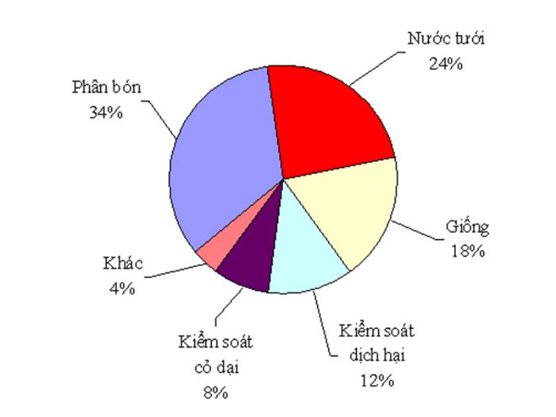 thanh-phan-khoang-chat-cua-dat-anh-huong-den-su-phat-trien-cua-cay-trong