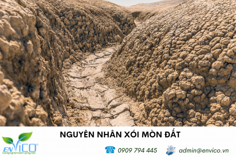 Biện pháp phòng chống xói mòn đất