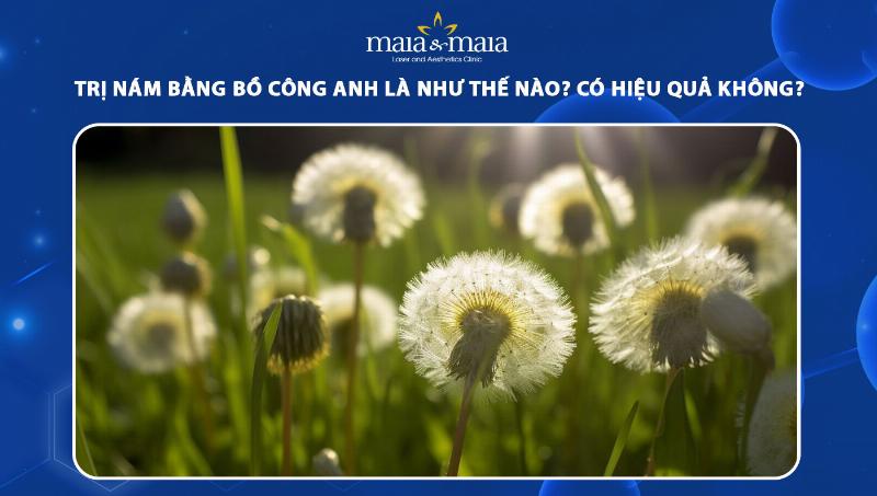 Bồ công anh làm đẹp da