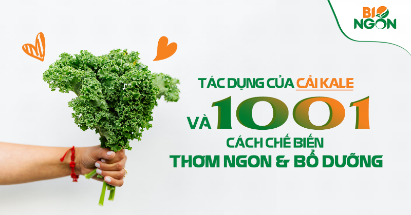 Cải xà lách xoong trong gia công thực phẩm bảo vệ sức khỏe