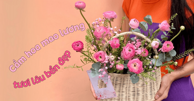 Chăm Sóc Hoa Mao Lương