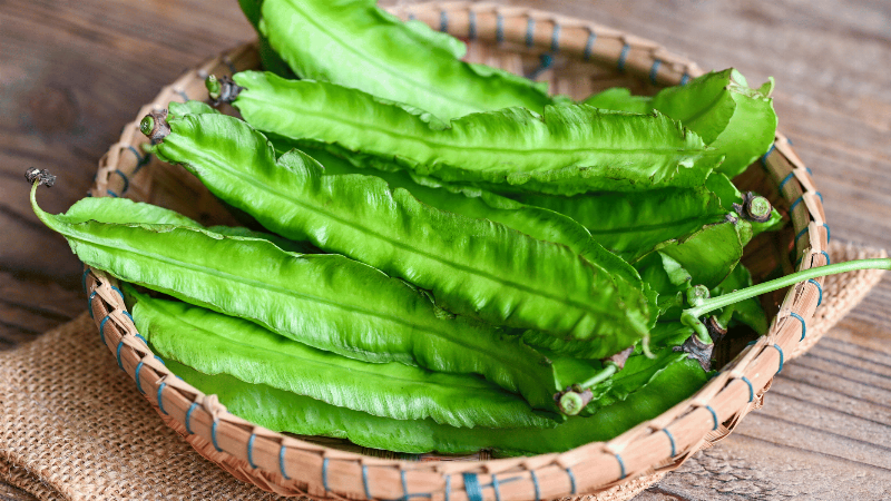Đậu rồng hỗ trợ tiêu hóa