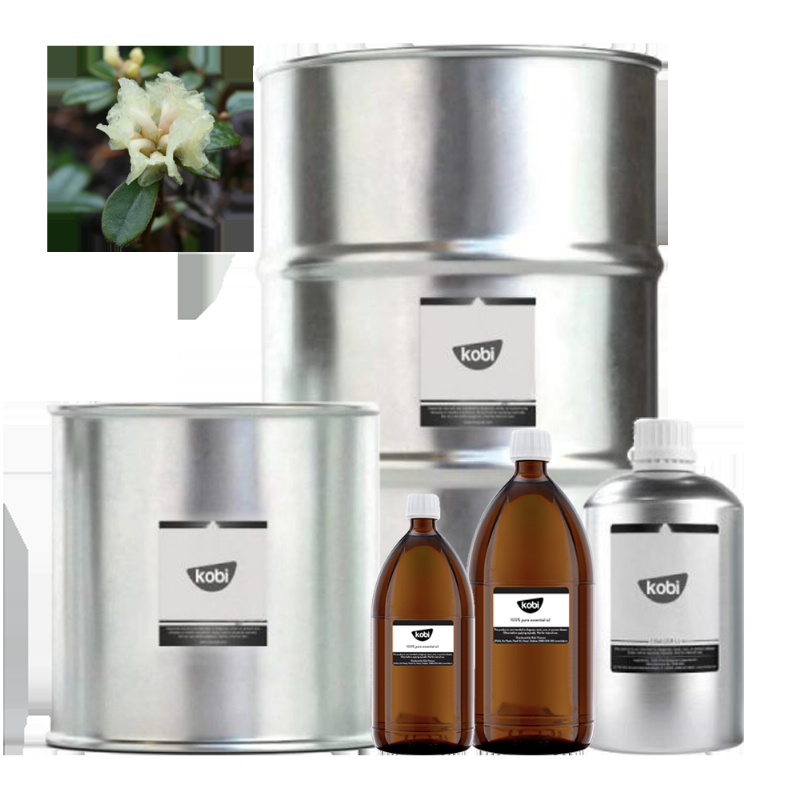 Hoa đỗ quyên trong y học cổ truyền