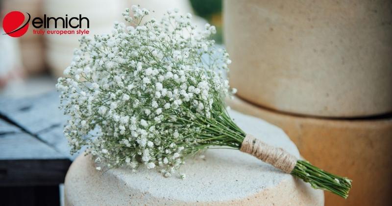 Thông tin cảnh báo về tính an toàn và độc tính tiềm ẩn của hoa baby (Gypsophila paniculata) khi tiếp xúc hoặc sử dụng sai cách.