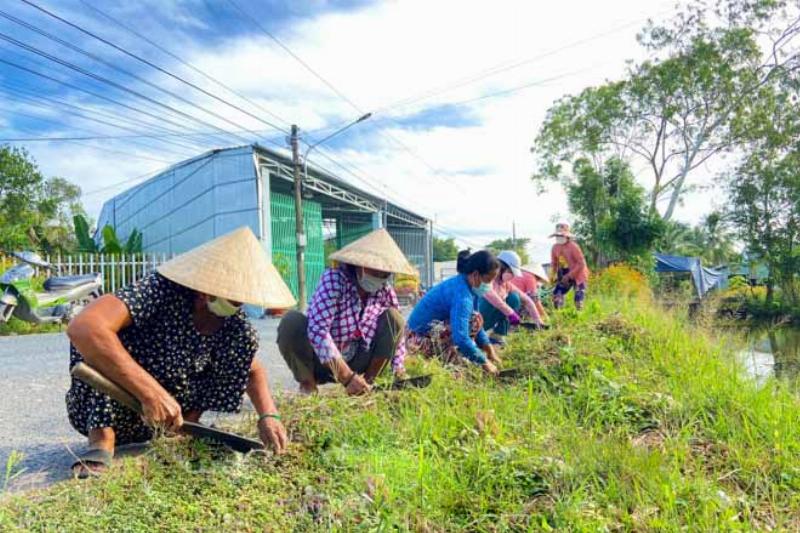 Bảo vệ môi trường bằng cách trồng cây xanh, dọn dẹp rác thải
