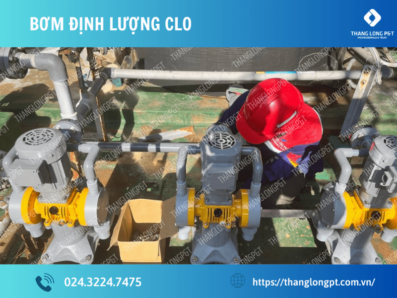 Hệ thống bơm định lượng màng ngăn trong sản xuất thực phẩm bảo vệ sức khỏe
