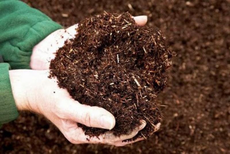 Huong dan chi tiet cach lam compost tai nha