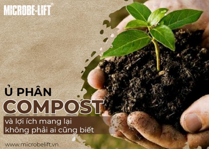 cach-su-dung-compost-hieu-qua