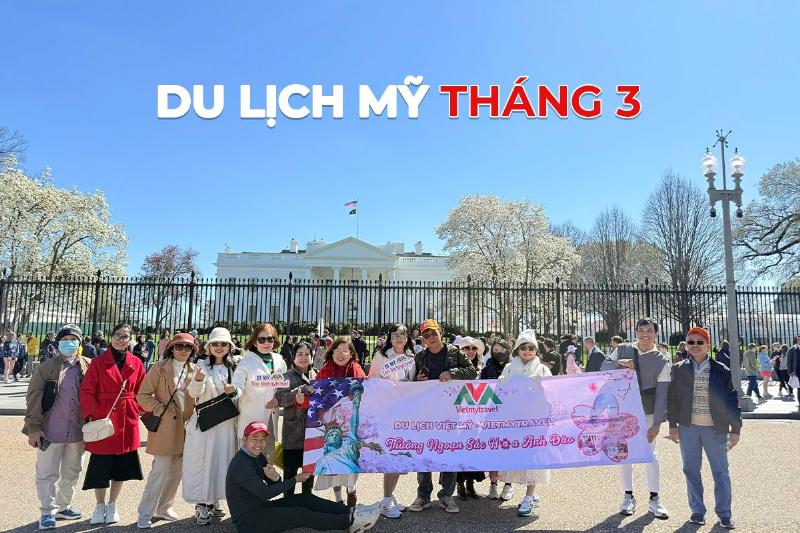 Vẻ đẹp ngập tràn của hoa anh đào Nhật Bản khi bung nở, biểu tượng của mùa xuân và sự sống mới