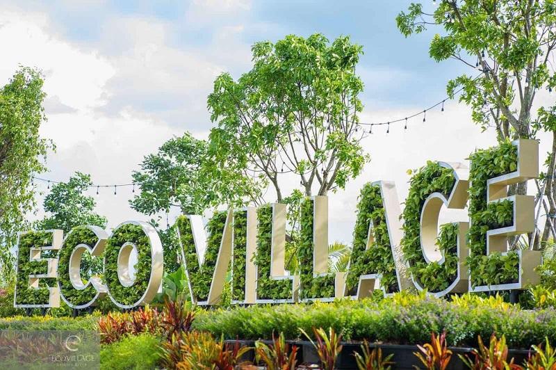 Hình ảnh cây xuyến chi mọc hoang sơ với hoa trắng và lá xanh, cho thấy vẻ ngoài phổ biến của loại cây này