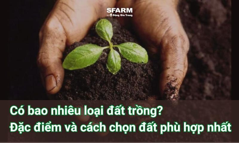 Chọn đất trồng cây phù hợp cho từng loại cây