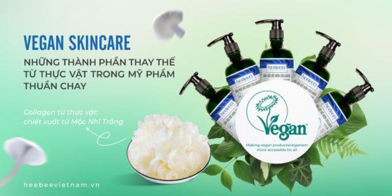 Lựa chọn đối tác gia công chiết xuất thực vật cho sản phẩm từ cây mai xanh thái