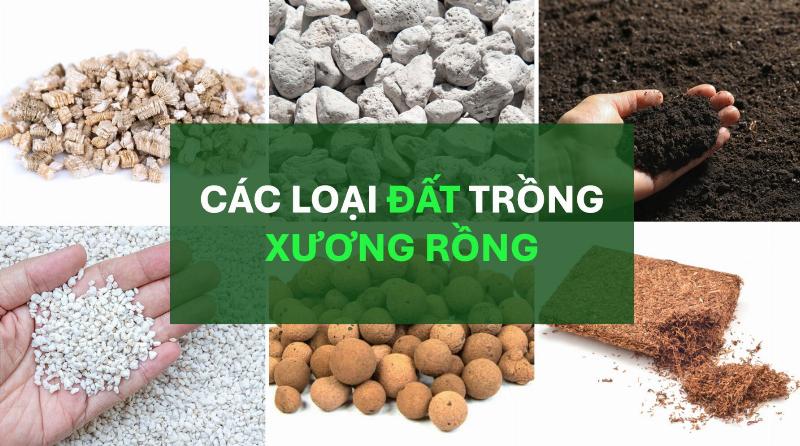 Chọn giá thể trồng cây phù hợp