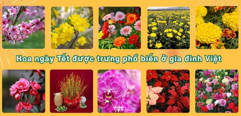 Chúc Tết an khang thịnh vượng với sắc hồng hoa đào ngày Tết rực rỡ