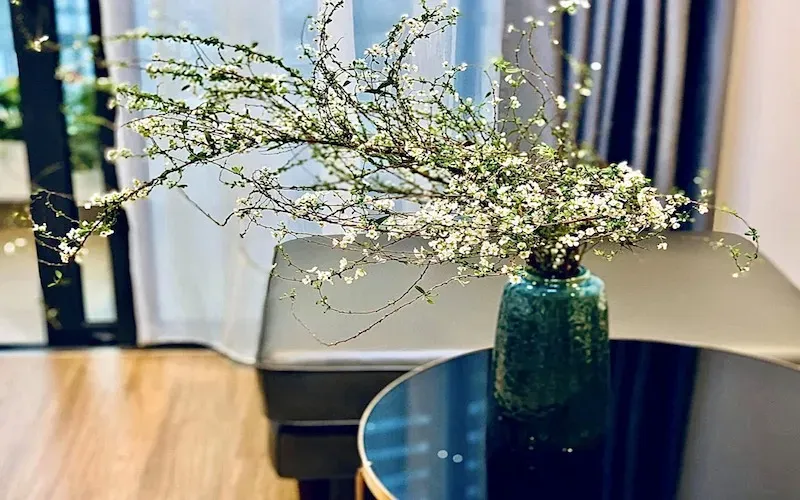 Công Dụng Của Cây Tuyết Mai
