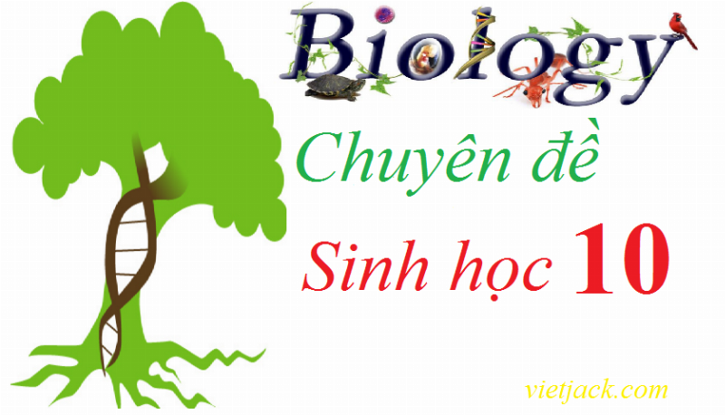 cac-yeu-to-anh-huong-sinh-truong-vi-sinh-vat