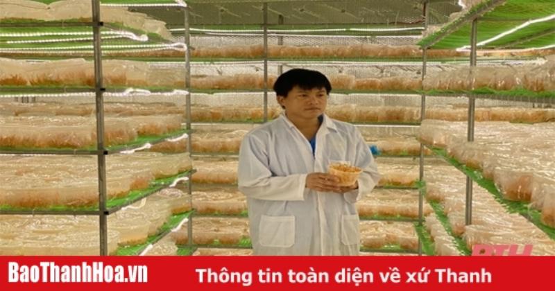 dong-trung-ha-thao-nuoi-trong-voi-cong-nghe-hien-dai