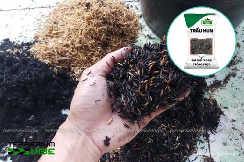 Giá thể trồng cây từ vỏ trấu hun