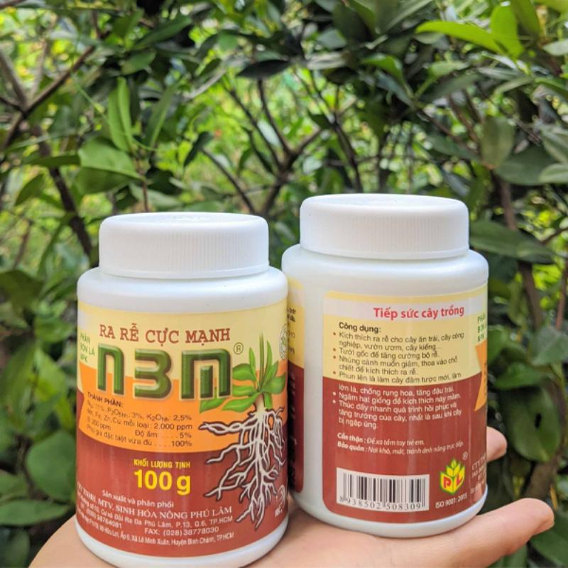 Hình ảnh so sánh hệ rễ cây khỏe mạnh và yếu sau khi sử dụng thuốc kích rễ, minh họa sự khác biệt rõ rệt