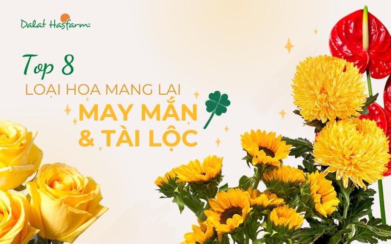 hoa-dong-tien-mang-lai-may-man-va-giau-co