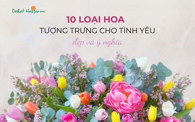 Hoa ly hồng lãng mạn, tượng trưng cho tình yêu và sự đam mê