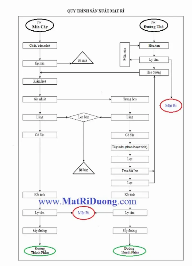 Quy trình sản xuất mật rỉ đường