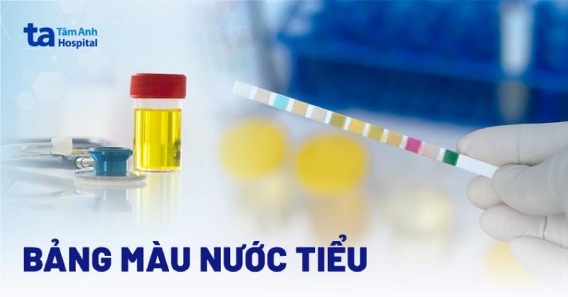 Mau nuoc tieu vang dam khi thieu nuoc va mau nhạt khi du nuoc minh hoa tinh trang hydrat hoa