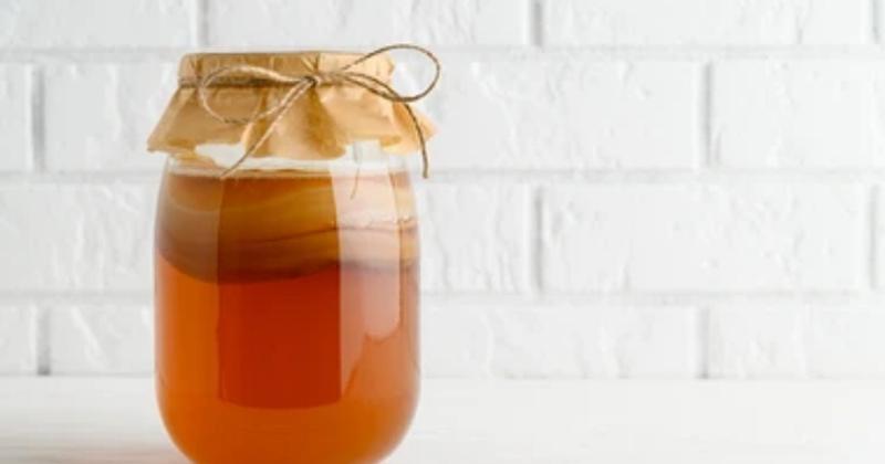 Những lưu ý khi sử dụng Kombucha