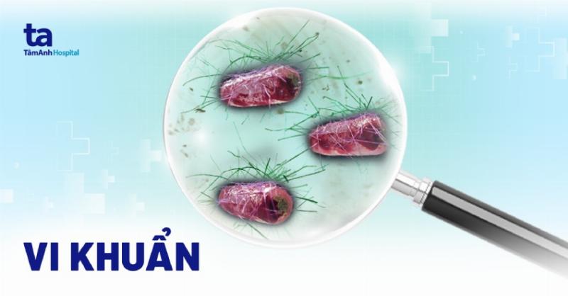 Hình minh họa các quá trình sống cơ bản như trao đổi chất, sinh sản, sinh trưởng của sinh vật