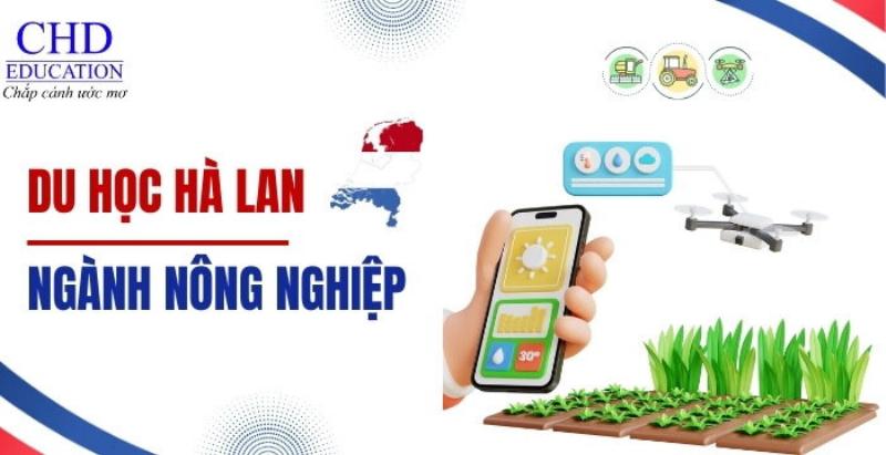 dau-ha-lan-trong-nganh-cong-nghiep-thuc-pham
