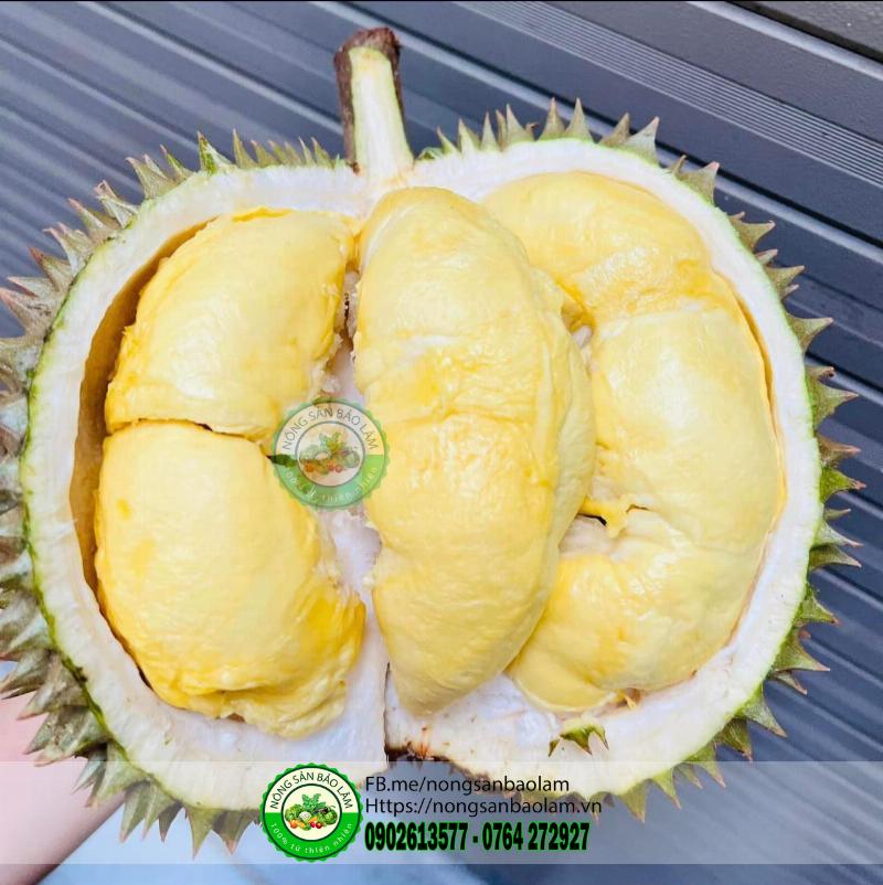 hinh-anh-sau-rieng-sua-thom-ngon-bo-duong