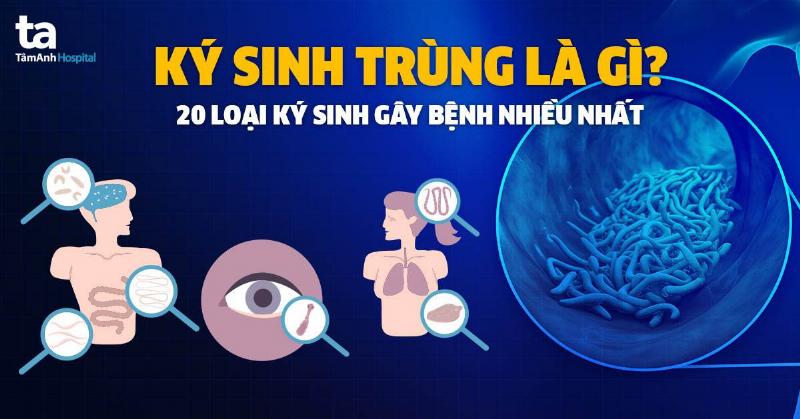 hinh-anh-sinh-truong-vi-sinh-vat-cac-giai-doan