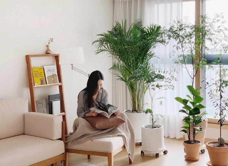 Hình ảnh biểu tượng cho sự đơn giản, cốt lõi của phân số tối giản trong cuộc sống