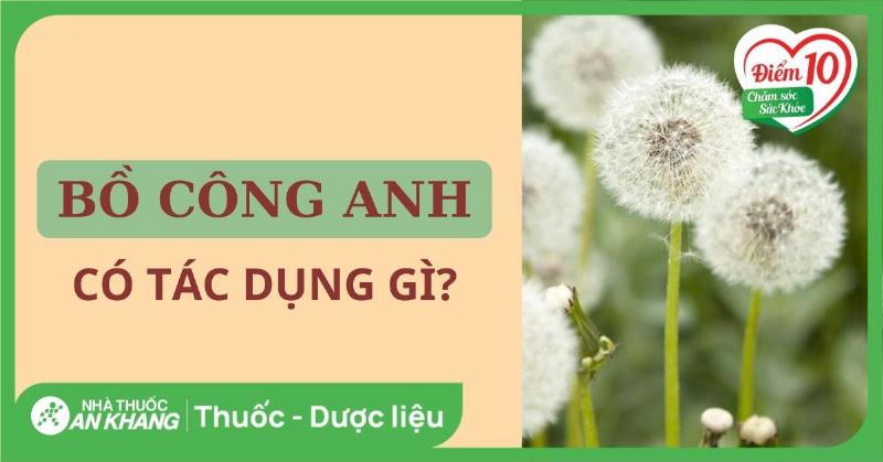 tac-dung-cua-bo-cong-anh-doi-voi-suc-khoe-gan