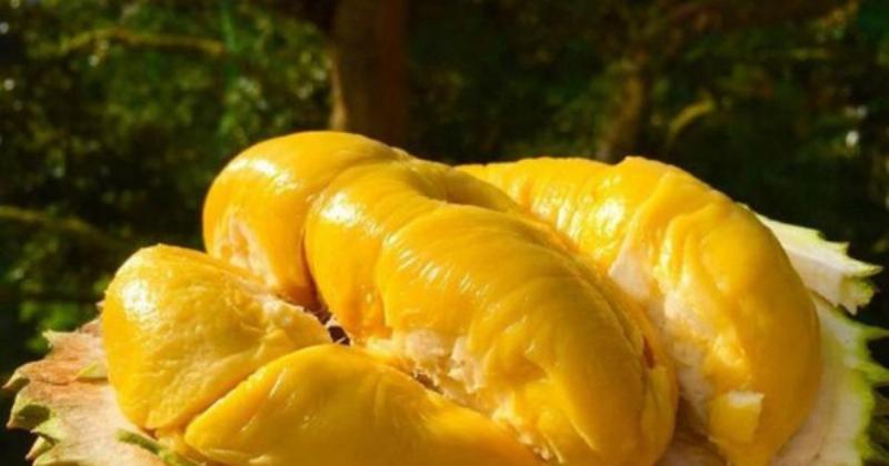 Hình minh họa tác hại của việc ăn quá nhiều ớt, mô tả một người đang ôm bụng khó chịu sau khi ăn món rất cay