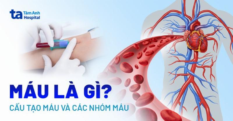 Những thách thức trong gia công thực phẩm bảo vệ sức khỏe chứa sắt, bao gồm ổn định, tương tác và màu sắc