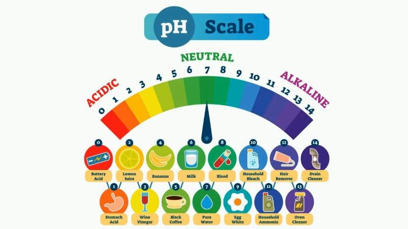 Hình minh họa thang đo pH thể hiện độ axit, độ kiềm và mức trung tính trong sản xuất