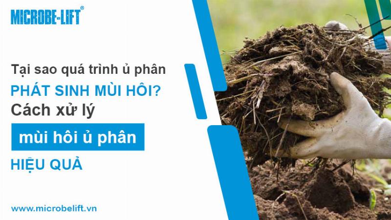 Ủ phân hữu cơ không bị hôi