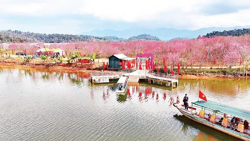 Hoa sơn thủy tiên nở rộ với rễ trắng muốt, biểu tượng của vẻ đẹp tự nhiên và thuần khiết, gợi mở về nguồn gốc thiên nhiên của thực phẩm bảo vệ sức khỏe.