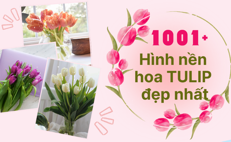 Tạo bóng đổ và chiều sâu khi vẽ hoa tulip bằng bút chì