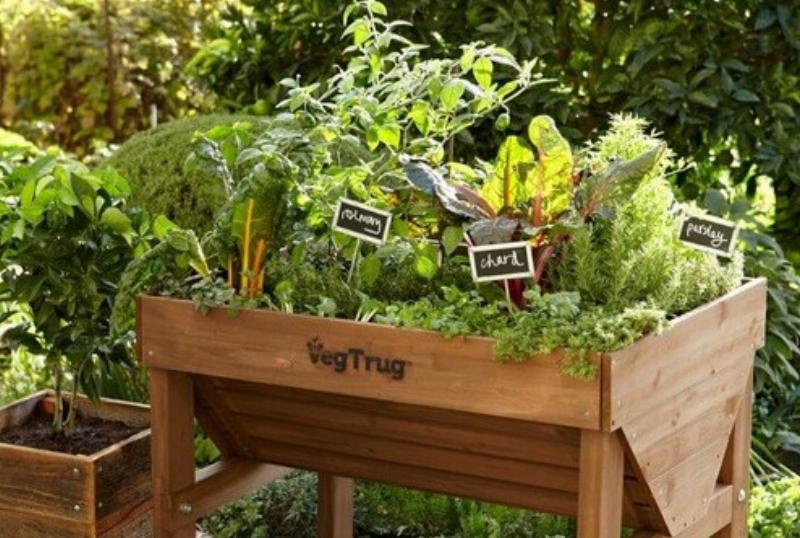 Một vườn rau đẹp trên sân thượng với nhiều loại rau xanh tươi trong các thùng gỗ tái chế và chậu cây, có cả lối đi nhỏ lát đá và một vài chậu hoa nhỏ.