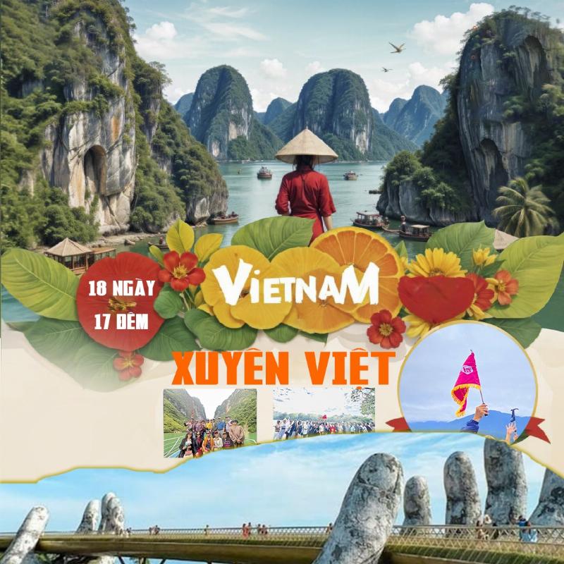 Hình ảnh mặt trời mọc phía sau những ngọn núi, với một số loại thảo mộc hoặc nguyên liệu tự nhiên ở tiền cảnh, liên kết bình minh với nguồn gốc tự nhiên của thực phẩm bảo vệ sức khỏe