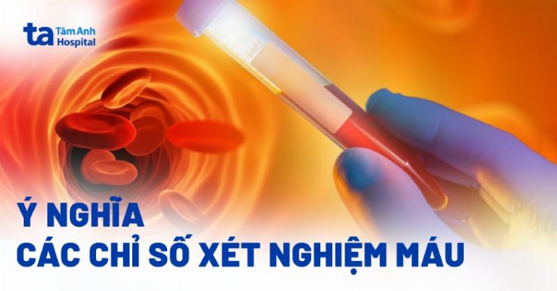 Hình ảnh minh họa các loại tế bào máu chính trong xét nghiệm công thức máu (bạch cầu, hồng cầu, tiểu cầu) và tên viết tắt của chúng