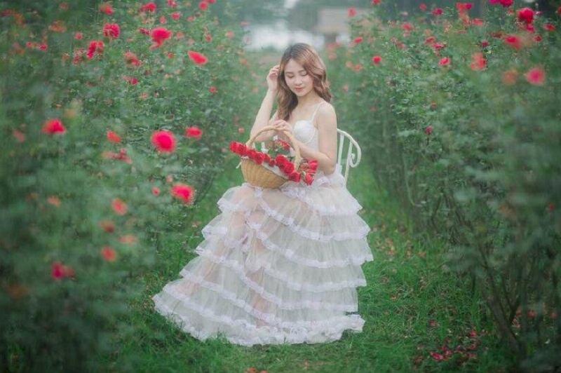 Kỹ thuật và mẹo chụp ảnh bông hồng đẹp