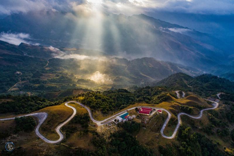 Hinh anh can canh hoa thanh tu mau xanh lam bung no day suc song trong anh nang som the hien ve dep mong manh cua loai hoa nay