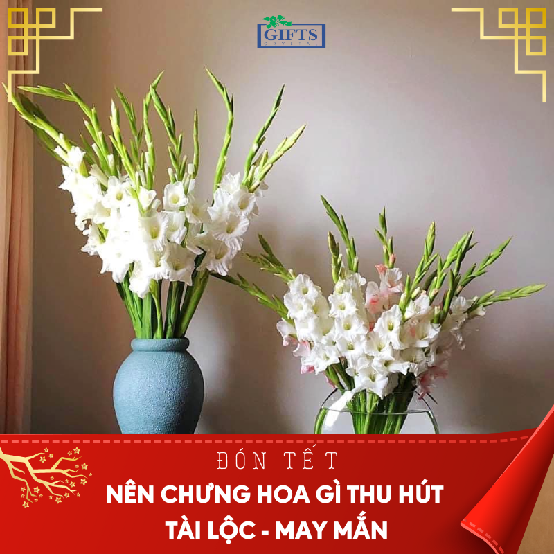 Lựa chọn hoa chưng tết phù hợp phong thủy và ý nghĩa may mắn