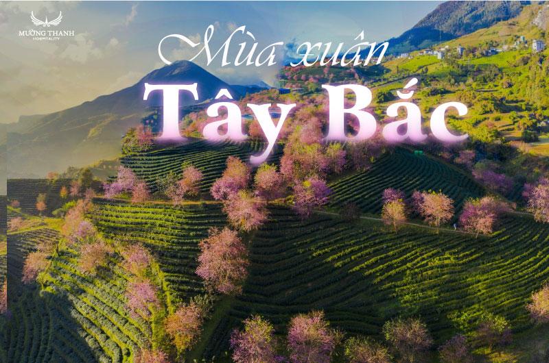Một người đang ngủ say trong khung cảnh lãng mạn, đầy màu sắc, tượng trưng cho giấc ngủ ngon và điềm chiêm bao tươi đẹp.