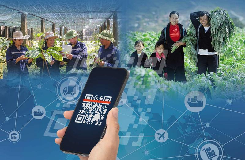 Mô tả quy trình nghiên cứu và phát triển dược liệu mới từ cây lan hoàng dương, từ nhận dạng đến tiêu chuẩn hóa