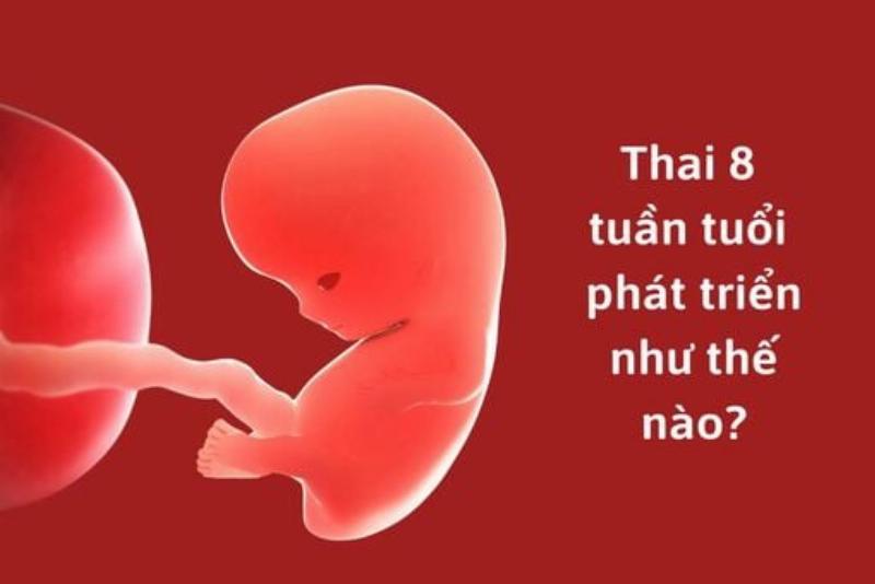 Trẻ em vui chơi khỏe mạnh, biểu tượng cho sức khỏe tốt ở độ tuổi thiếu nhi 1/6 nhờ dinh dưỡng đầy đủ.